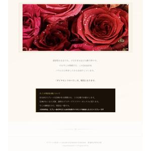【記念日・サプライズ ギフト】11本のバラ ジ...の詳細画像4