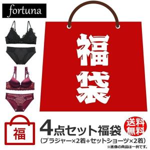 ブラ 福袋のランキングtop100 人気売れ筋ランキング Yahoo ショッピング