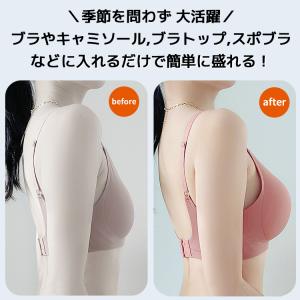 厚手 ブラ パッド 替え ブラパッド ブラパッ...の詳細画像1