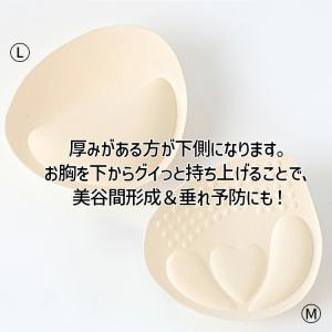 厚手 ブラ パッド 替え ブラパッド ブラパッ...の詳細画像5