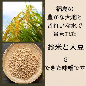 メンマ 福島県産味噌使用 800g 極太 一口...の詳細画像1
