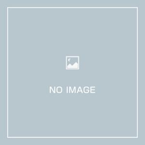 STAEDTLER マルス アバンギャルド(シャンパンゴールド)(927AG-G) /スタイラス替芯付き/｜visavis