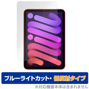 iPad mini 第6世代 2021 保護 フィルム OverLay Eye Protector 低反射 for アイパッド ミニ (第6世代) mini6 ブルーライトカット 反射低減｜visavis