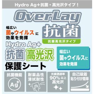 ZOOM H5 保護 フィルム OverLay...の詳細画像1
