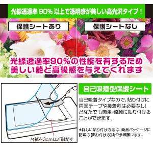 Shot Navi Granz 保護 フィルム...の詳細画像4