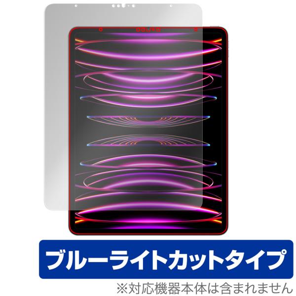 iPad Pro 12.9インチ 第6世代 2022年発売モデル 保護 フィルム OverLay E...