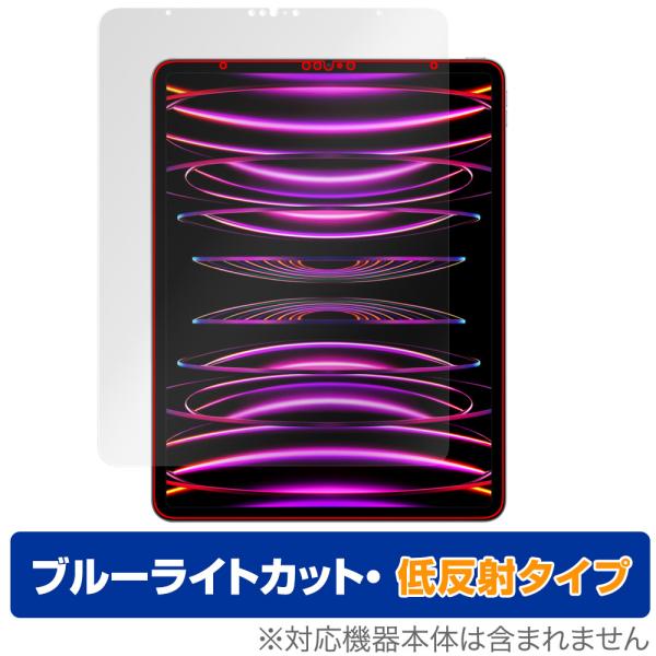 iPad Pro 12.9インチ 第6世代 2022年発売モデル 保護 フィルム OverLay E...