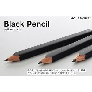 MOLESKINE モレスキン 鉛筆3本セット｜visavis