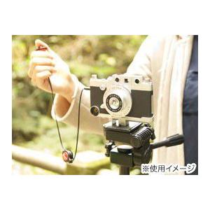 GIZMON iCA REMOTE SHUTTER for iPhone 5s/5