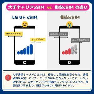 【公式 T-money イベント】【010 電...の詳細画像4