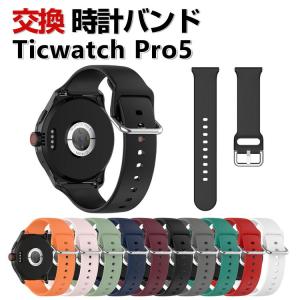 G-SHOCK ポイント最大6倍 CASIO 純正バンドDW-002系専用スペアベルト