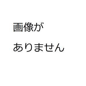 101540C3　前面用カプラセット(787系AK ２個入｜vista2nd-shop