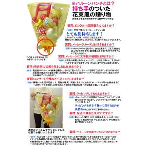 発表会の出演祝いにクマのプーさんミュージックバ...の詳細画像3