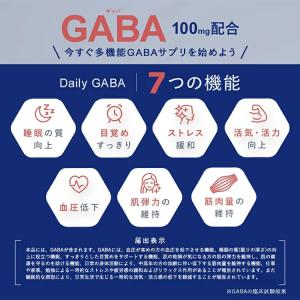 機能性表示食品ビタブリッド デイリー GABA...の詳細画像2