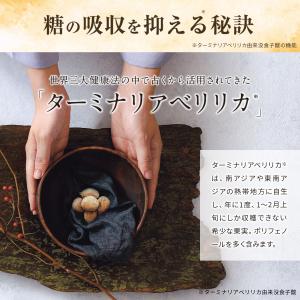 公式 ターミナリアファースト(グルメサプリ)2...の詳細画像4
