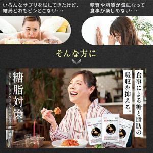 公式 ターミナリアファースト(グルメサプリ)6...の詳細画像2