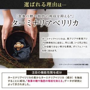 公式 ターミナリアファースト(グルメサプリ)6...の詳細画像3