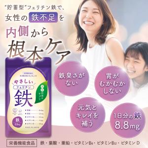 ビタブリッドジャパン 公式 フェリチン鉄 やさ...の詳細画像1