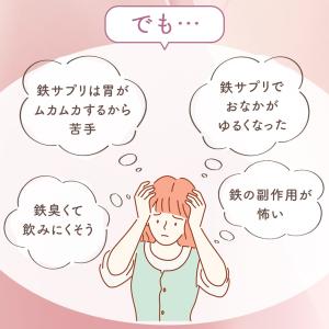 ビタブリッドジャパン 公式 フェリチン鉄 やさ...の詳細画像5