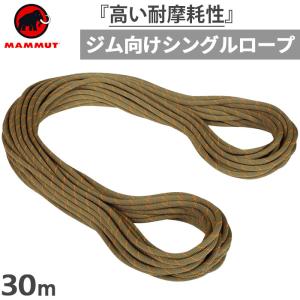 長さ30m　直径9.9mm マムート メンズ レディース 9.9 ジム ワークホース クラシック ロープ 登山用品 クライミング シングルロープ 2010-04310｜vitaliser