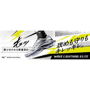 2E幅 ミズノ メンズ レディース ウエーブラ...の詳細画像1