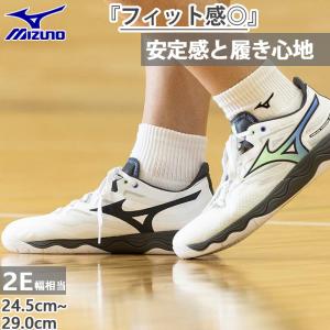 2E幅 ミズノ メンズ レディース ウエーブメダル NEO 卓球シューズ ローカット シューレース 紐靴 トレーニング 81GA2325