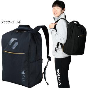 23L スティガ メンズ レディース リュックサック ライバル Backpack Rival JP デイパック バックパック バッグ 鞄 1422-0101-84｜vitaliser