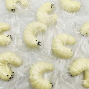 かわいい 毛虫 虫 ストレス解消 5点セット ...の詳細画像2