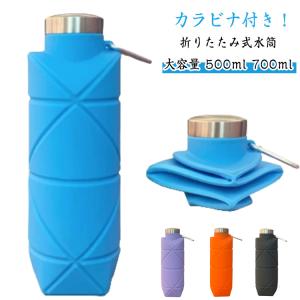 SALOMON（サロモン） ソフトフラスク 500ml/17oz 42(42mmキャップ
