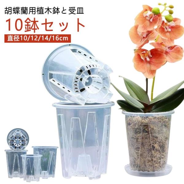 多肉植物 透明 屋外 植木鉢 受皿付き 穴付き プラスチック 蘭の鉢 10鉢セット 洋蘭鉢 植木鉢 ...