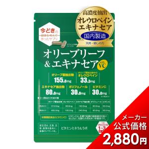 オリーブリーフ＆エキナセア with VC【60粒入】オリーブ葉抽出物/オレウロペイン/エキナセア抽出物/ポリフェノール/ビタミンC 配合 (1袋)｜ビタミンミネラルラボ-公式 Yahoo!店