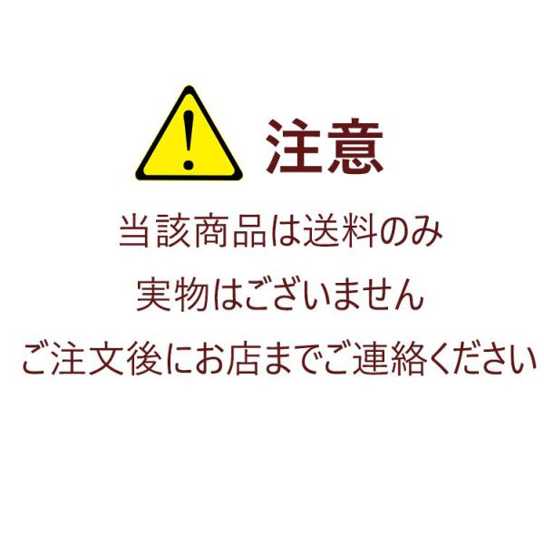 ビタミンストアの送料 追加送料　中継送料