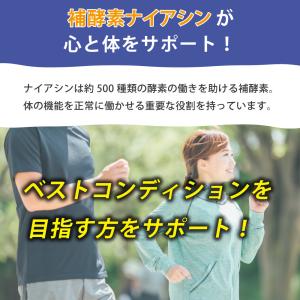 ナイスドライブ アイナチュラプレミアム 120...の詳細画像4