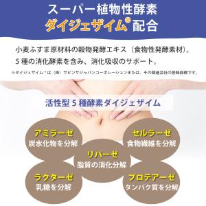ナイスドライブ アイナチュラプレミアム 120...の詳細画像5