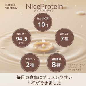 ナイスプロテイン バニラ アイナチュラプレミア...の詳細画像4