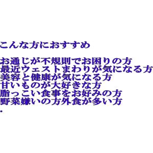送料無料!業務用袋タイプ!ファイバーソル2H ...の詳細画像1