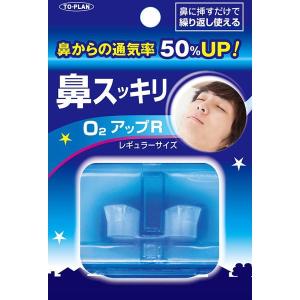 【2個でポスト投函送料無料】トプラントプラン 鼻...の商品画像