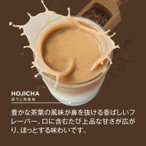 VITAS バイタス ソイ プロテイン 個包装...の詳細画像4