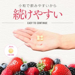 VITAS(バイタス) VITA FIT.fe...の詳細画像2