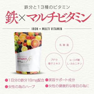 VITAS(バイタス) VITA FIT.fe...の詳細画像3
