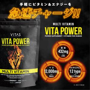 VITAS(バイタス) VITA POWER ...の詳細画像4