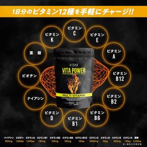 VITAS(バイタス) VITA POWER ...の詳細画像5
