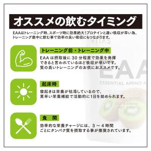 VITAS バイタス EAA キウイ 風味 5...の詳細画像4