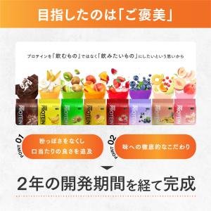 VITAS バイタス ホエイ プロテイン 10...の詳細画像5