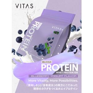 VITAS VITAS プロテイン WPC ブリーベリーヨーグルト 1kg ホエイ