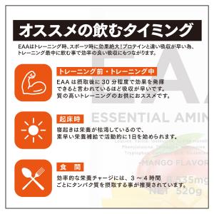 VITAS バイタス EAA マンゴー風味 5...の詳細画像4