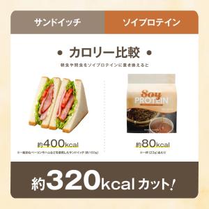 VITAS バイタス ソイ プロテイン 700...の詳細画像4