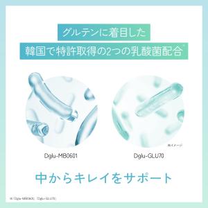 VITAS バイタス GLUCUT グルカット...の詳細画像4