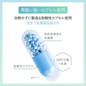 VITAS バイタス GLUCUT グルカット...の詳細画像5