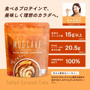 嫁にもろてプロテインマグケーキ 塩キャラメル ...の詳細画像1